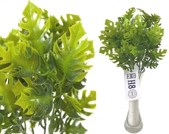 E/1194 MINI BUQUE DE COSTELA DE ADAO X5 29CM