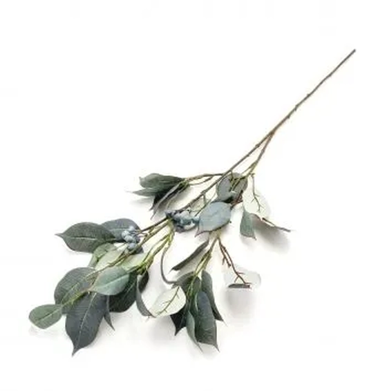 W113-246VD W113-246VD GALHO CEREJ NEGRA X2 96/48/12 90CM