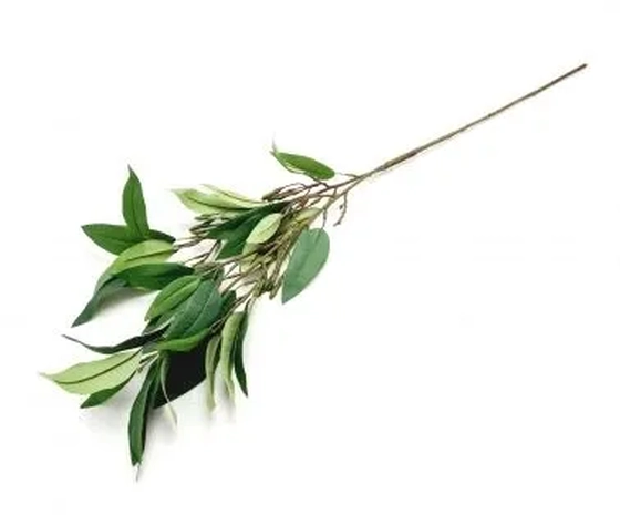 W113-249VD GALHO DE MANGUEIRA X2 240/48/12 90CM (96