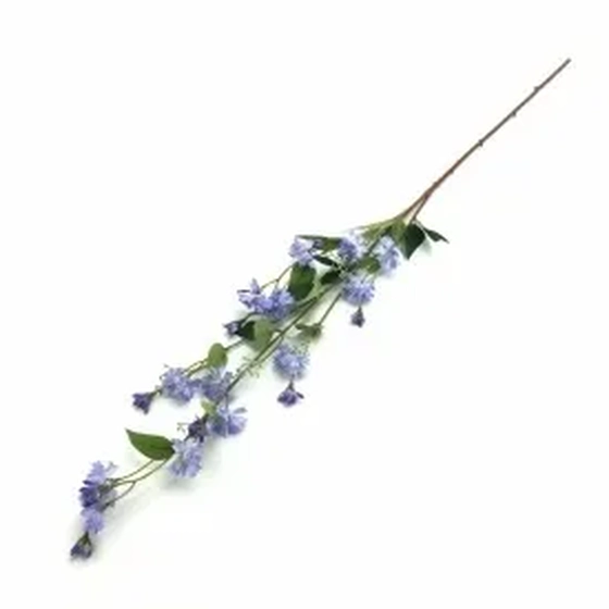 W298-182RX GALHO CHICORIA X4 240/72/12 1,03CM