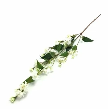 W298-182W GALHO CHICORIA X4 240/72/12 1,03CM