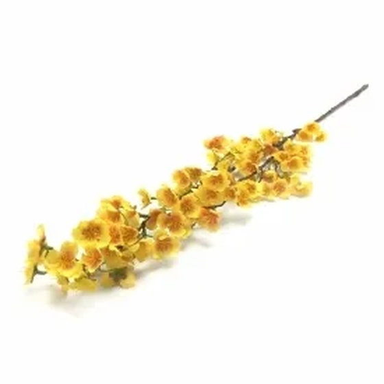 W522-05AM GALHO DE PESSEGUEIRA 216/72/12 91CM