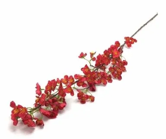 W522-06VM GALHO DE PESSEGUEIRA 216/72/12 1,05CM