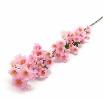 W522-07RS GALHO DE CEREJEIRA X4 216/72/12 105CM