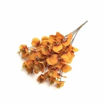 W528-01LJ BUQ.EUCALIPTO X16 300/60/12  47CM