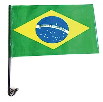 6837/15045 BANDEIRA PLASTICA MEDIA C/10 P/CARRO