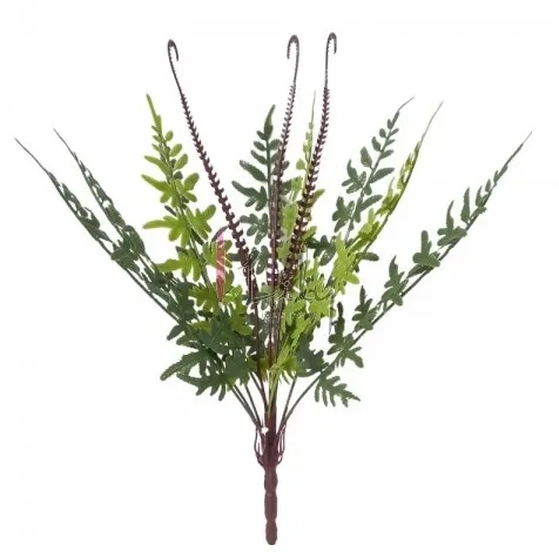 AR-0008 BUQUE. DE SAMAMBAIA AVENCA