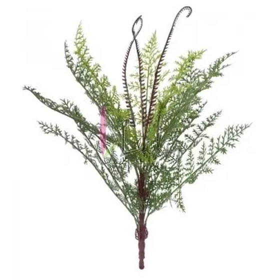 AR-0004 BUQUE. DE SAMAMBAIA