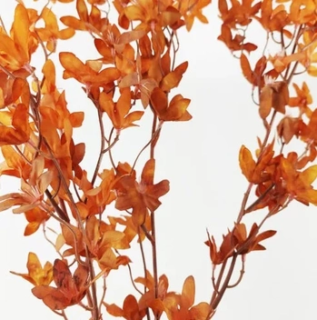 CE-0001LR G. MINI LIRIO OUTONADO-LARANJA