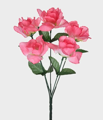 21546-018 BUQUE ROSA X5 ROSA