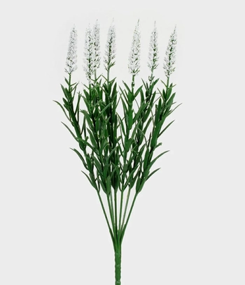 25979-010 BUQUE MINI GYPSO X7 CREME