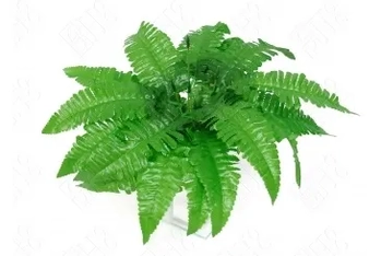 E/0697 SAMAMBAIA PEQUENA X 7 40CM