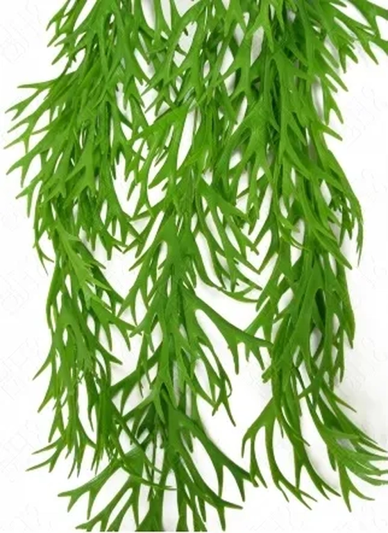 E/0827 PENDENTE DE CHIFRE DE VEADO X 9 80CM