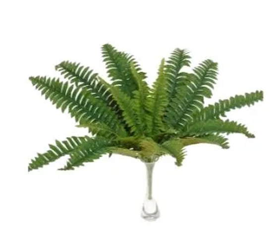 E/0833 SAMAMBAIA X 18 50CM