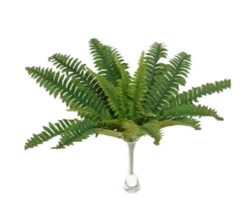 E/0833 SAMAMBAIA X 18 50CM