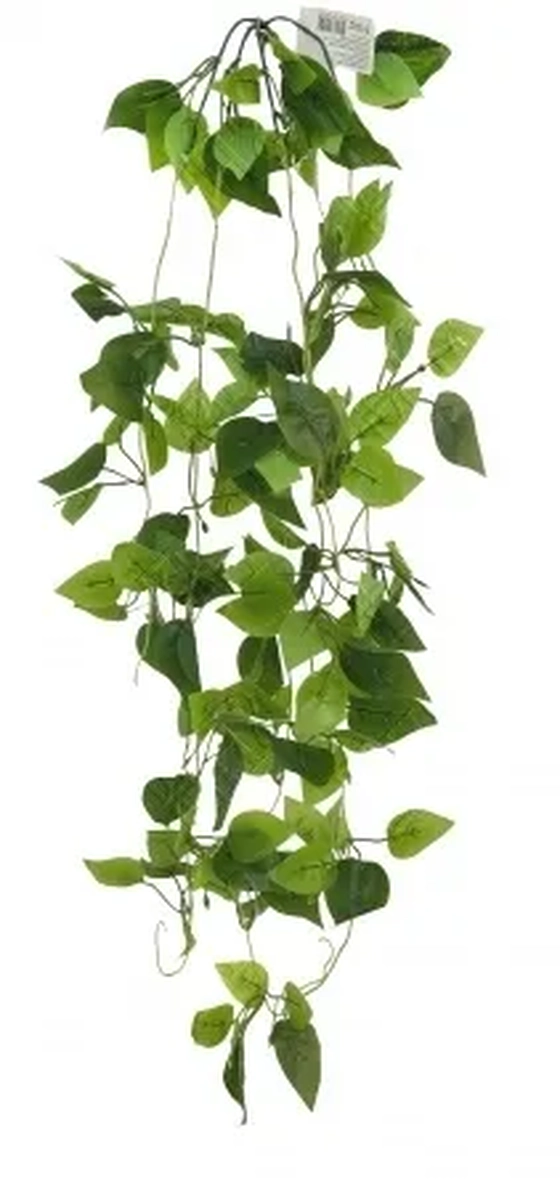 E/1252S PENDENTE DE FOLHAGENS JIBOIA TOQUE NATURAL X 5