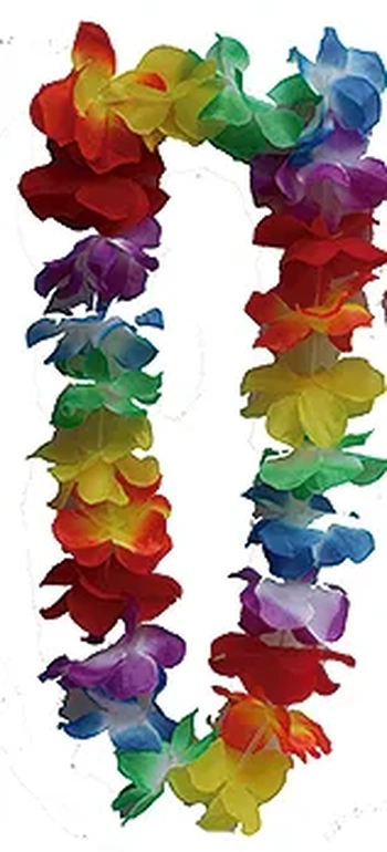 NYR6916/MOD-6916 COLAR HAVAIANA C/12