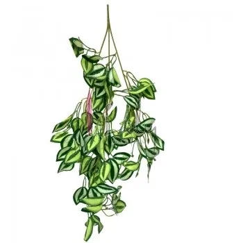 EJ-0046 BUQUE DE FOLHAGEM MELANCIA PENDENTE