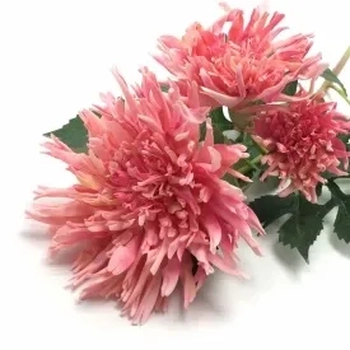 W531-03RS GALHO DALIA X3 HASTES TOQUE REAL