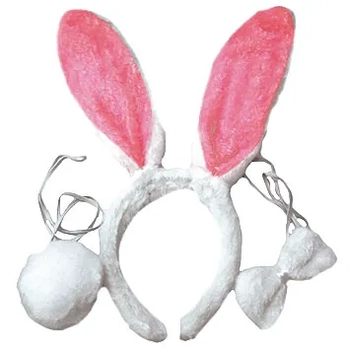 11747 KIT TIARA COELHO