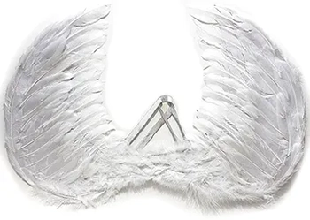 85020 ASA DE ANJO G P/FESTA