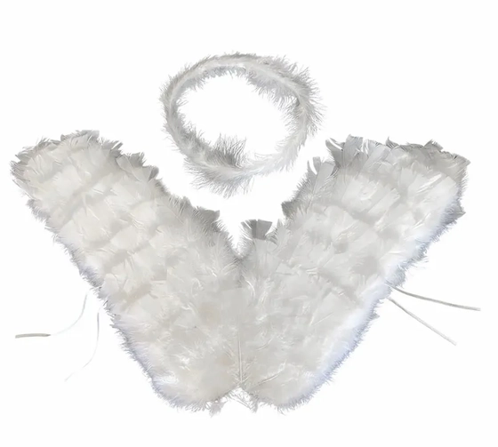 ASA DE ANJO BRANCA