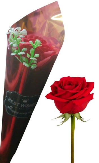 ASH-82.0215 BOTAO DE ROSA 38CM