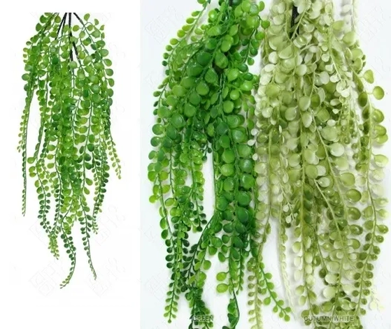 E/0730 FOLHAGEM PEPEROMIA X5 80CM