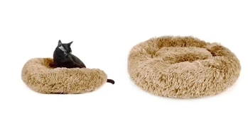 ASH-24.0100 CAMINHA PET