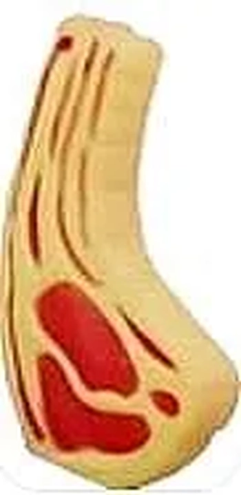 ASH-24.0084 BRINQUEDO PET BIFE MEDIO