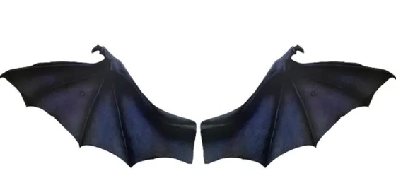 1286 ASA DE MORCEGO PARA FOTO