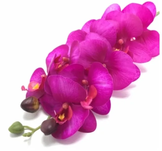 W105-155PK GALHO DE ORQUÍDEA SILICONADA X9 HASTES