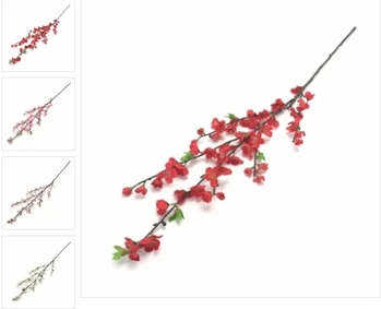 W522-02RS GALHO DE MACIEIRA