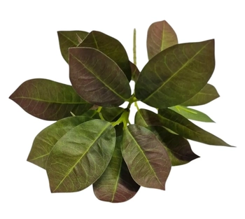 W534-02MSC GALHO DE GAMELEIRA X9 HASTES