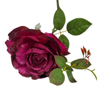 W534-04PK GALHO DE ROSA X1 HASTE