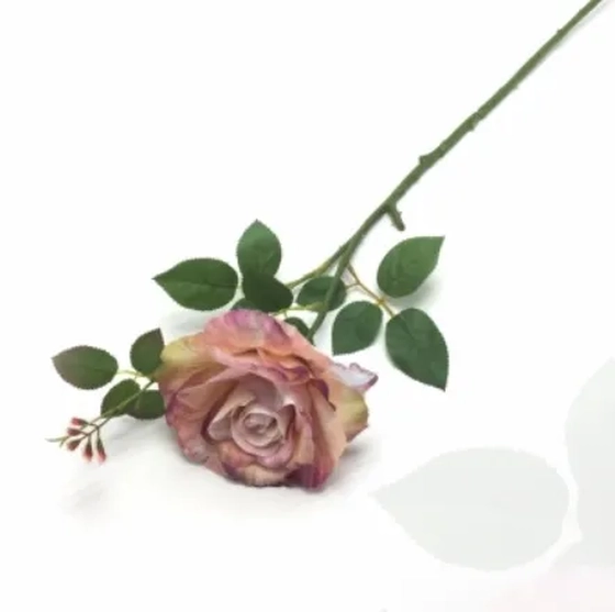 W534-04RS GALHO DE ROSA X1 HASTE