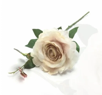 W534-04VD GALHO DE ROSA X1 HASTE