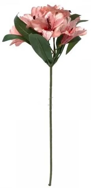 FG-0011RS GALHO ASTROMELIA ROSA