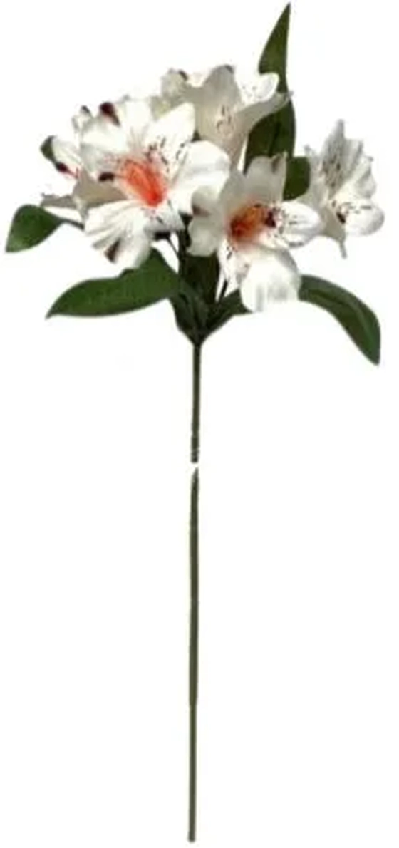 FG-0011BR GALHO ASTROMELIA BRANCO