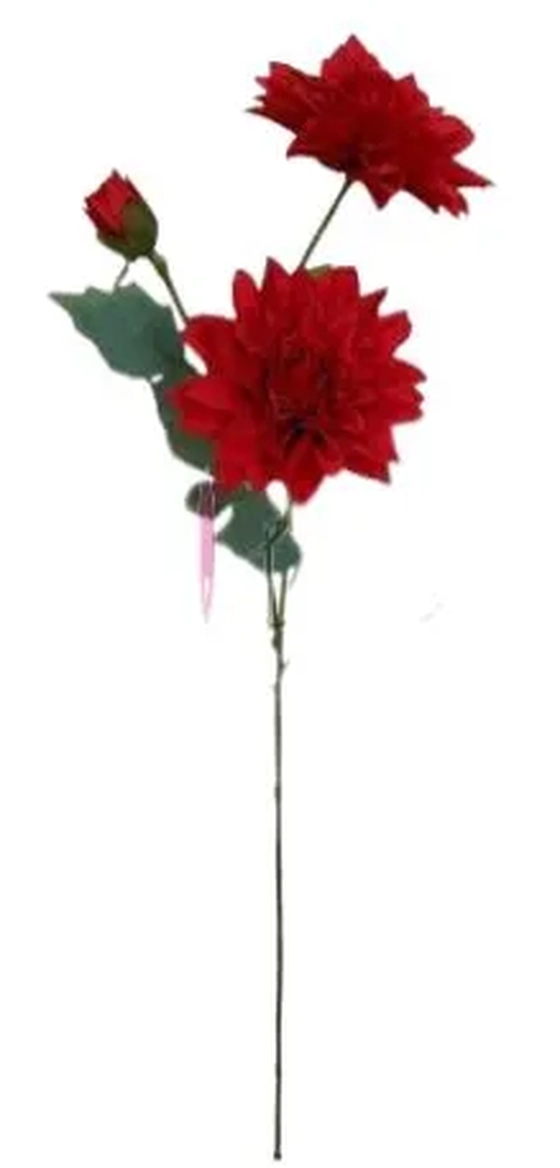 EQ-0024VM  GALHO DE DALIA - VERMELHO