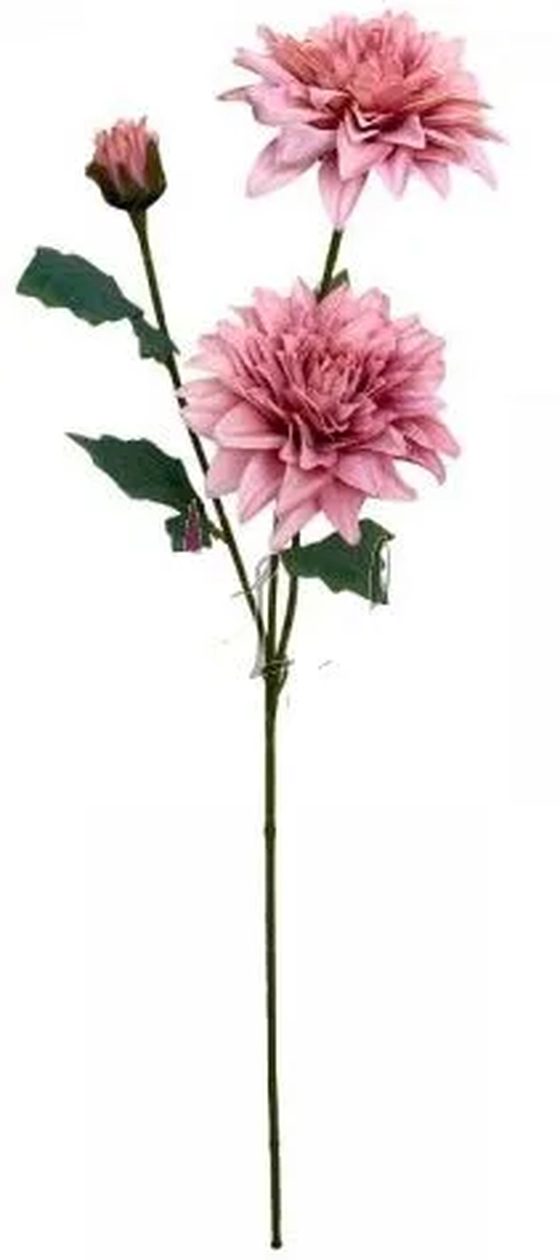 EQ-0024RS GALHO DE DALIA - ROSA
