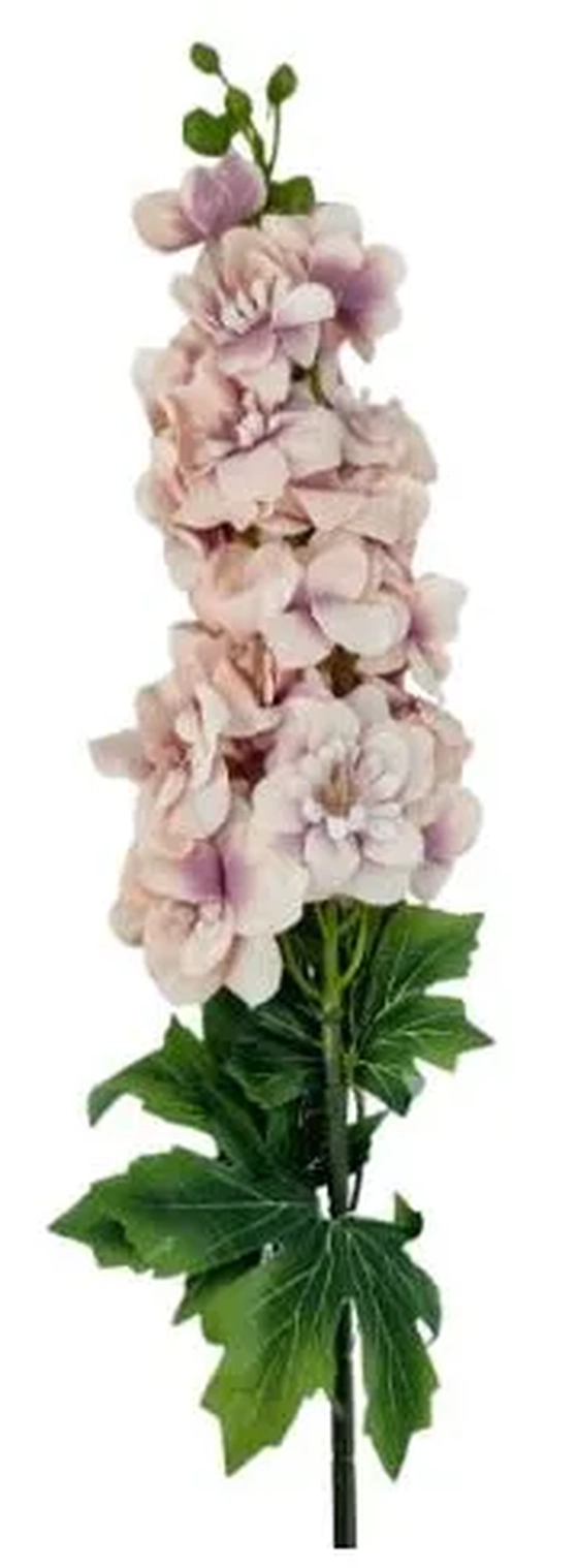 EQ-0001RS GALHO DE DELFINIO - ROSA