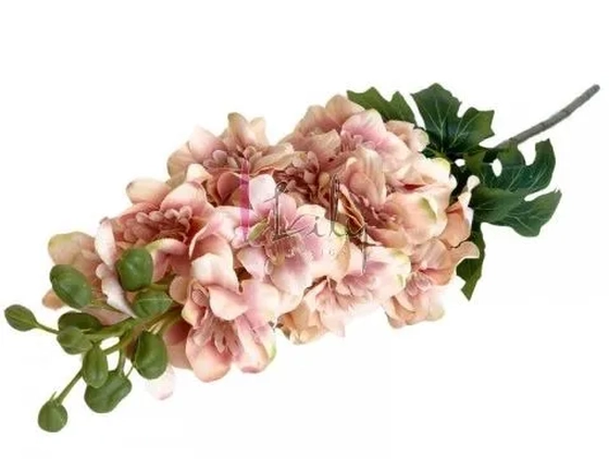 EQ-0001RO GALHO DE DELFINIO - ROSE