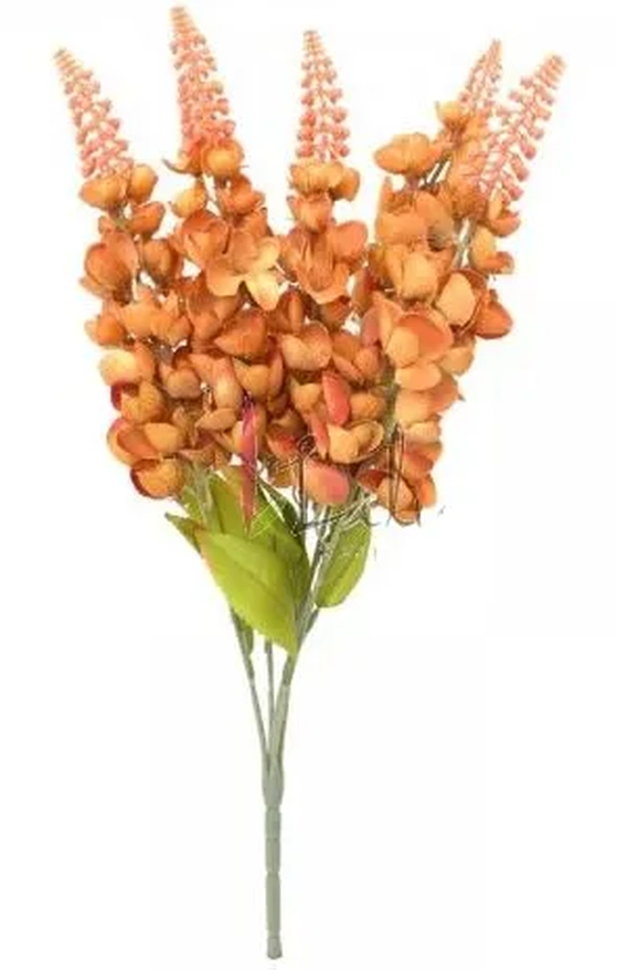 BC-0020FE BUQUE BOCA DE LEAO - FERRUGEM