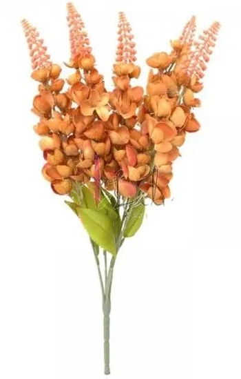 BC-0020FE BUQUE BOCA DE LEAO - FERRUGEM