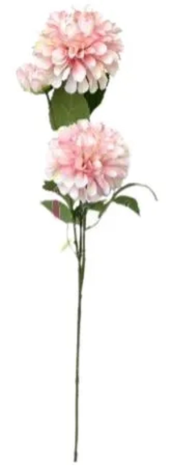 CE-0002RC G DALIA - ROSA CLARO