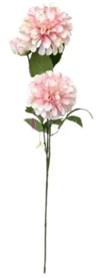 CE-0002RC G DALIA - ROSA CLARO