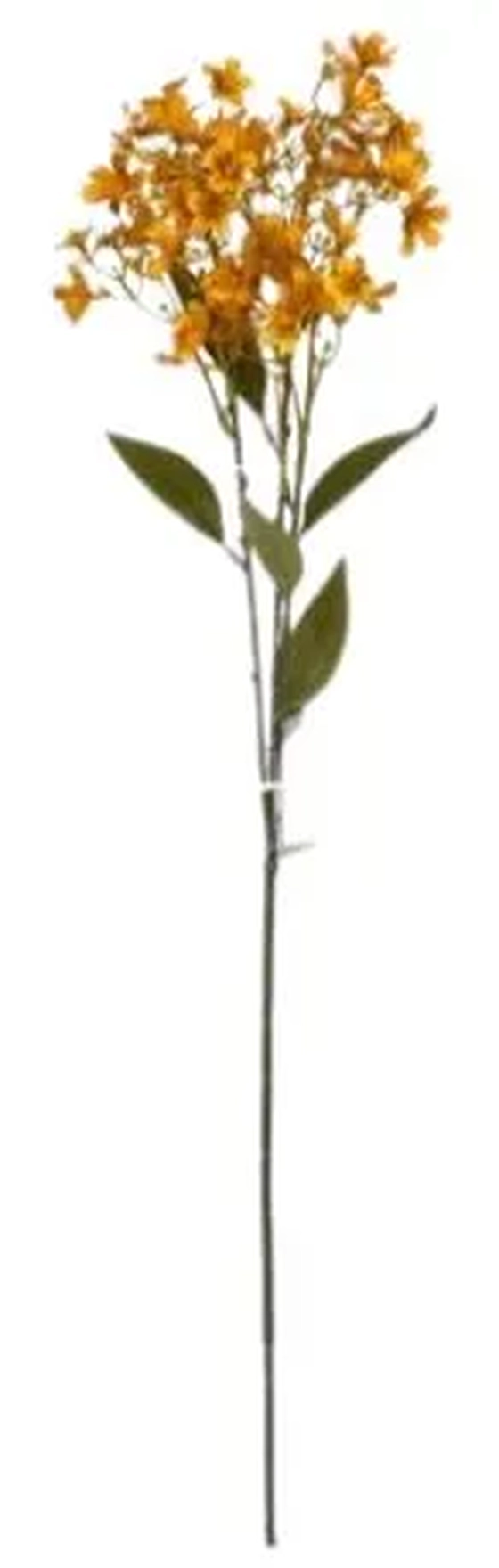 CR-0093AM GALHO FLOR DO CAMPO - AMARELO