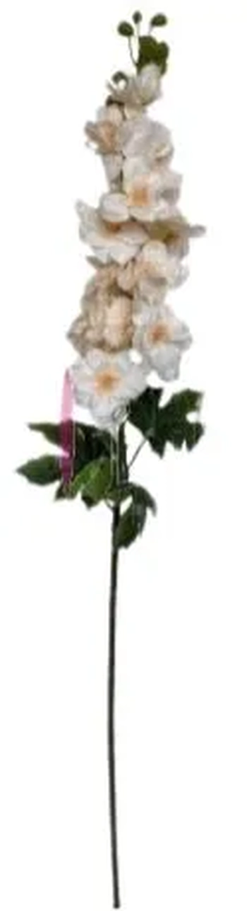 EQ-0001CH GALHO DE DELFINIO - CHAMPANHE