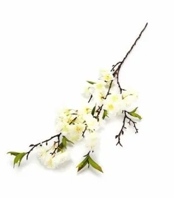 W113-200BR GALHO CEREJEIRA 72CM